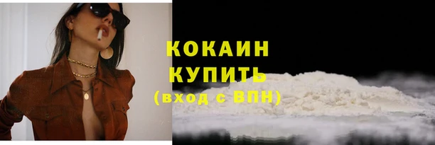 мет Новодвинск